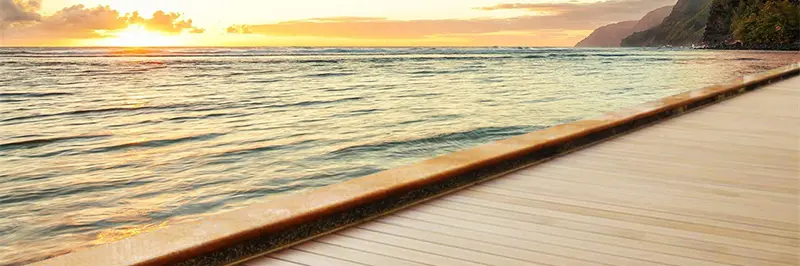 Advantages and Applications WPC Wood Plastic Composite-banner